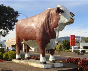 Rockhampton Bull Statues - thumb 2