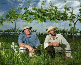 Rosnay Organic Farm And Vineyard - thumb 1