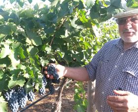 Rosnay Organic Farm And Vineyard - thumb 6
