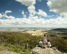 Mt Wombat lookout - Find Attractions