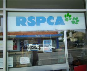R.S.P.C.A Opportunity Shop - Accommodation Nelson Bay