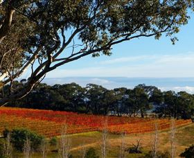 Bloodwood Estate - New South Wales Tourism 