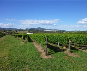 Hedberg Hill Wines - Wagga Wagga Accommodation