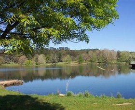 Lake Canobolas Reserve - Attractions