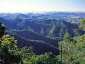 Kroombit Tops National Park - Accommodation Redcliffe
