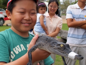 Koorana Crocodile Farm - thumb 2