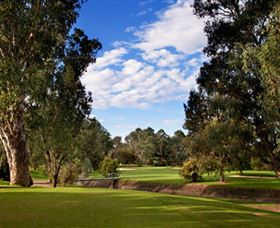 Commercial Golf Course - Accommodation Mount Tamborine
