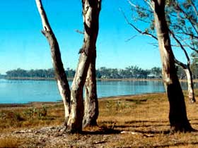 Lake Broadwater Conservation Park - Attractions