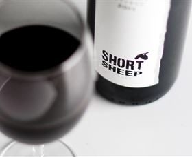 Short Sheep Micro-Winery - thumb 4
