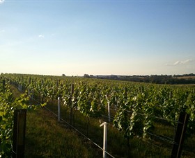 Beechworth Wine Estates - thumb 5