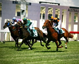 Thoroughbred Park Canberra Racing Club - Horse Racing In The Nations Capital - thumb 0