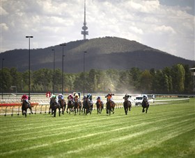 Thoroughbred Park Canberra Racing Club - Horse Racing In The Nations Capital - thumb 3