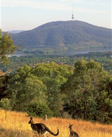 Canberra Centenary Trail - thumb 0