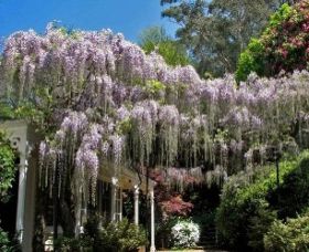 Nooroo Gardens - Attractions Melbourne