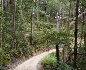 Blue Mountains National Park - thumb 8