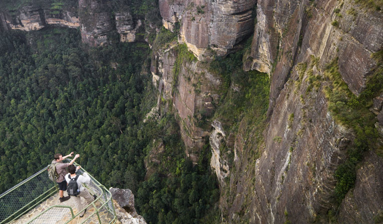 Pulpit Rock lookout - Accommodation Mount Tamborine