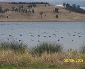 Lake Liddell Recreation Area - Attractions Melbourne