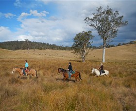 Chapman Valley Horse Riding - Attractions