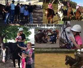 Chapman Valley Horse Riding - thumb 5