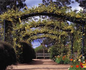 Blue Mountains Botanic Garden - Accommodation Nelson Bay