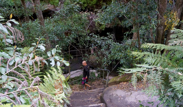 Leura Cascades Fern Bower - Geraldton Accommodation