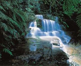Leura Cascades - New South Wales Tourism 