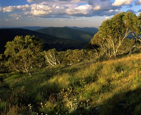 Namadgi National Park And Visitors Centre - Attractions 2