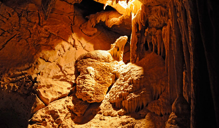 Fig Tree Cave - Whitsundays Tourism