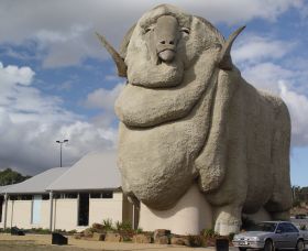 Big Merino - Tourism Canberra