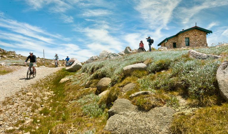 Mount Kosciuszko Summit walk - Accommodation Sunshine Coast