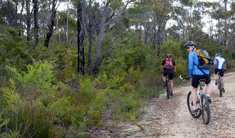 McMahon's Point ride - Wentworth Falls - Accommodation Redcliffe