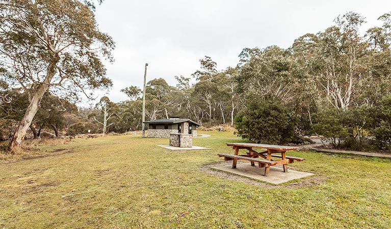 Thredbo River picnic area - Accommodation Airlie Beach