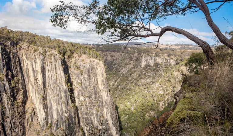 Apsley Gorge Rim walking track - Find Attractions