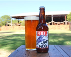Feral Brewing Company - Accommodation Yamba