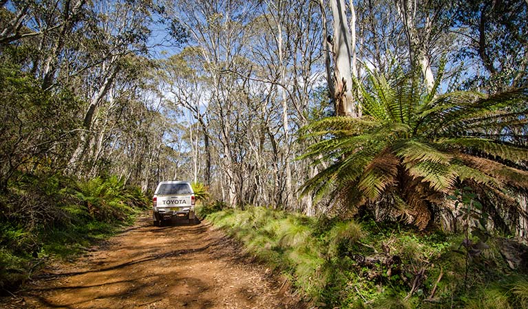 Barrington trail - Attractions Melbourne