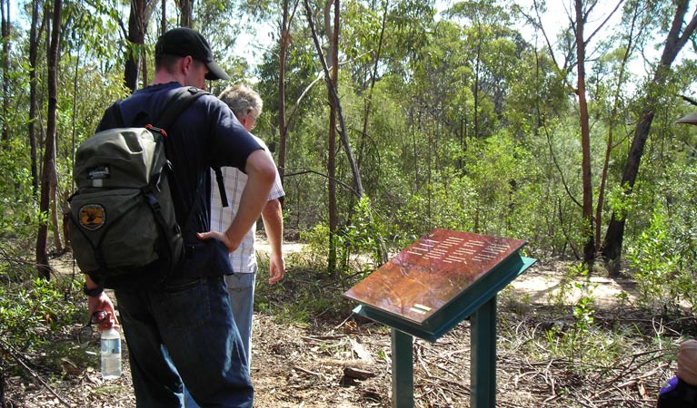 Finchley cultural walk - Whitsundays Tourism