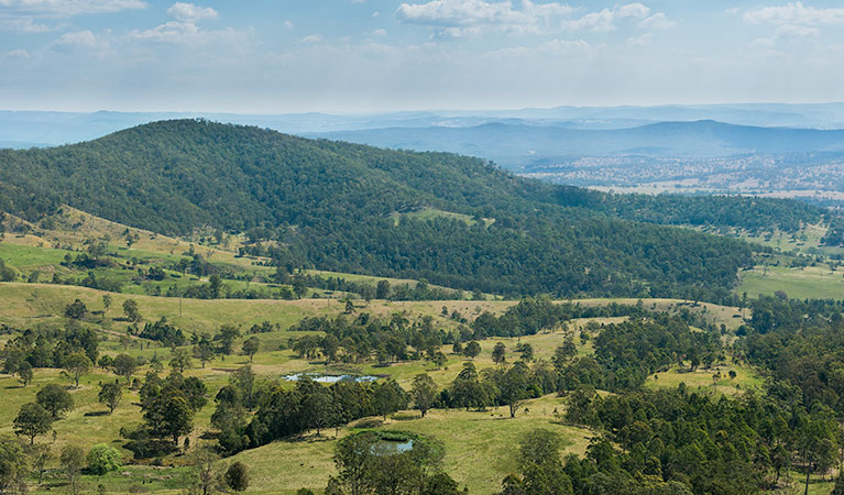 Tooloom lookout - Northern Rivers Accommodation