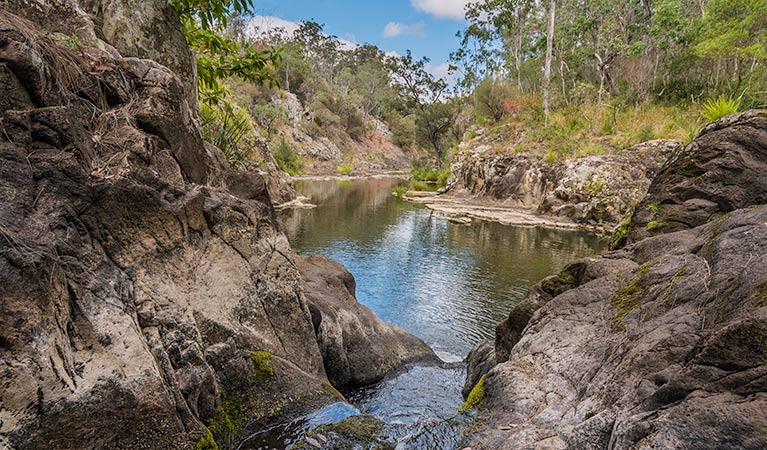 Gorge walking track - Northern Rivers Accommodation