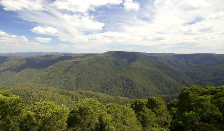 Barrington Tops National Park - Find Attractions
