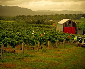 Around Hermitage Wine and Food Trail Hunter Valley - Accommodation NT
