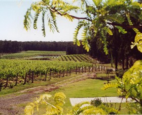 Tintilla Estate - New South Wales Tourism 