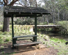 Barrington Tops State Forest - Accommodation Noosa