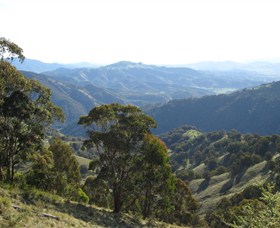 Barrington Tops State Forest - thumb 2