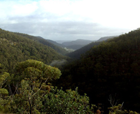 Nattai Gorge Lookout - Accommodation Mount Tamborine