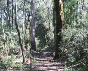Box Vale Mine Walking Track and Lookout - Accommodation Mount Tamborine