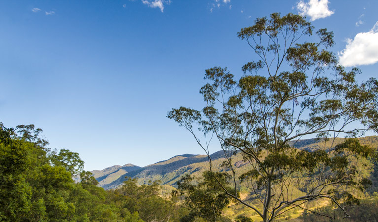 Woko National Park - Tourism Adelaide