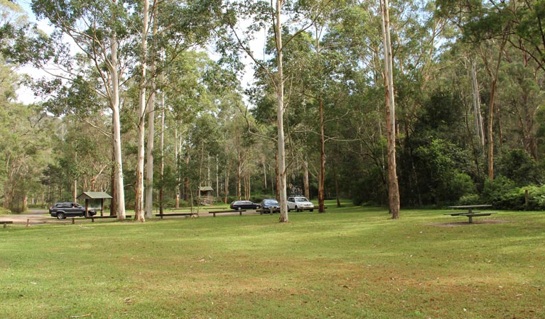 Mill Creek picnic area - Yamba Accommodation