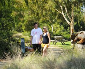 Sale Common Wetlands Walk - Accommodation Airlie Beach