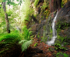 Fairy Bower Falls - Wagga Wagga Accommodation