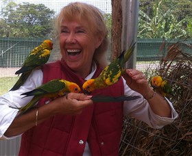Maleny Botanic Gardens  Bird World - Accommodation Rockhampton